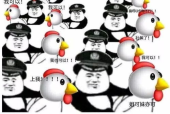 抓住爆爆,揭秘网络热点的传播与影响