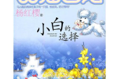 小猫日记,温馨日常与成长点滴