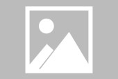 如何在凤凰新闻发布文章-维密圈网页版